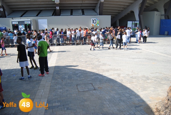 blomfeiled 803 (5).JPG